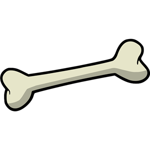 Bone PNG-46837